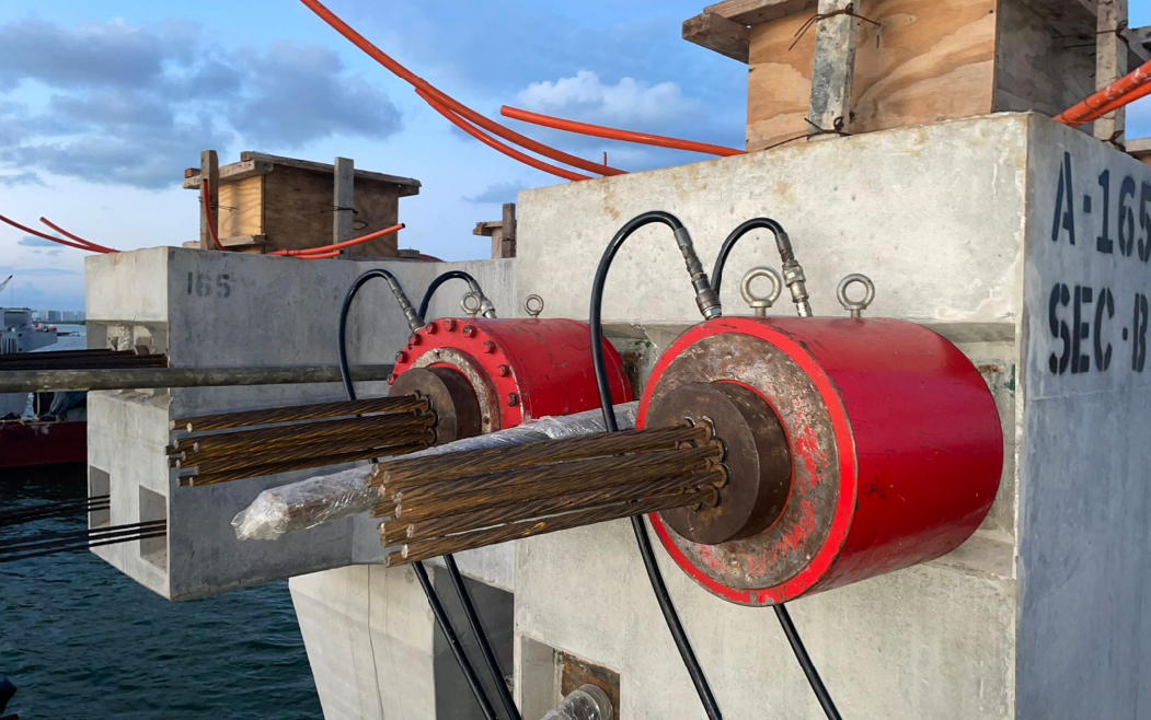 Contenido del artículo