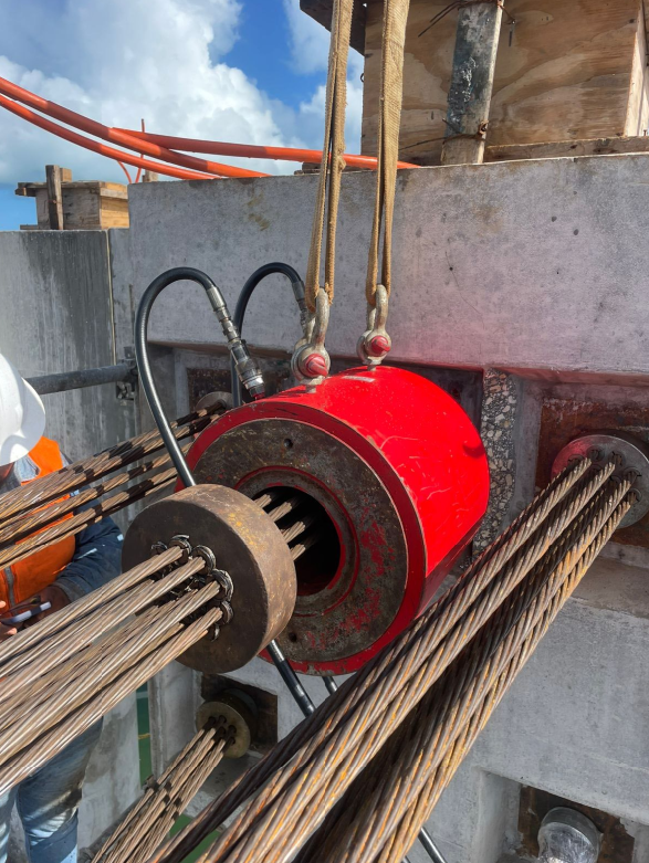 Contenido del artículo